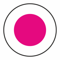 Frisbee 210 mm zonder ringen