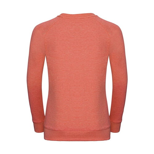 Ladies HD Raglan Sweat