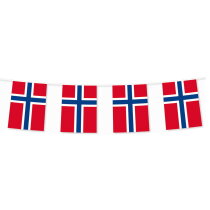 Vlaggenlijn landen, 5 meter bedrukken