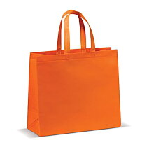 Non woven tas gelamineerd Groot
