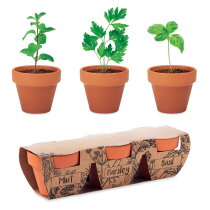 FLOWERPOT Kruidenpotjes set van 3 hout