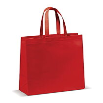 Non woven tas gelamineerd Groot