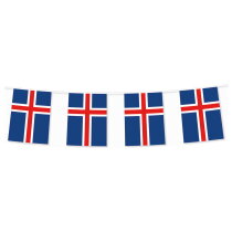 Vlaggenlijn landen, 5 meter bedrukken