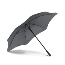 Blunt paraplu houtskool