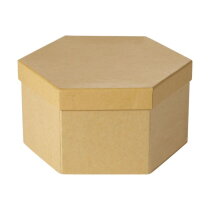 Kartonnen tekendoos Kenji bruin