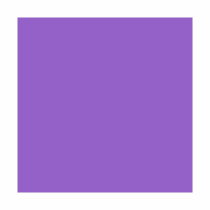 Full color polyester zadelhoes paars