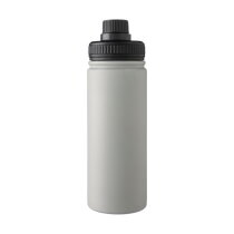 Roestvrijstalen dubbelwandige 500 ml drinkfles Chad grijs