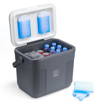 Brisby Koelbox 22L - grijs