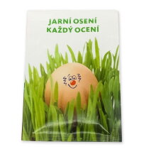 Zaadzakje 65 x 95mm uien