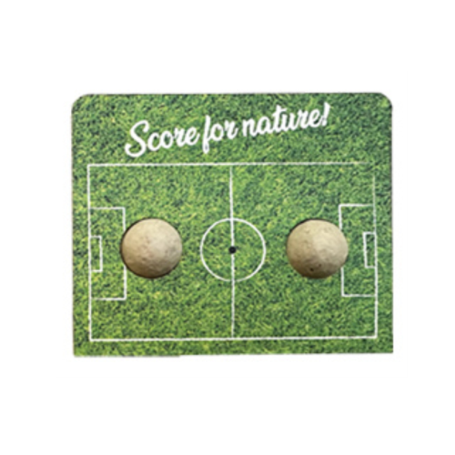 Blossombs 2st. - Score for Nature!