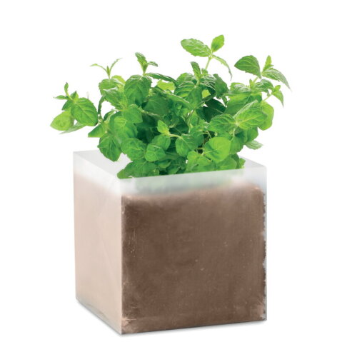 MINT Compost met mint zaadjes beige