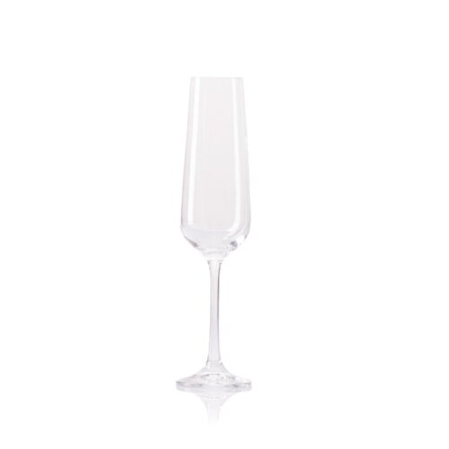 Champagneglas Ocean 23 cl.