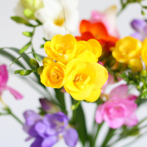 Brievenbus bloemen Happy