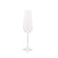 Champagneglas Ocean 23 cl.